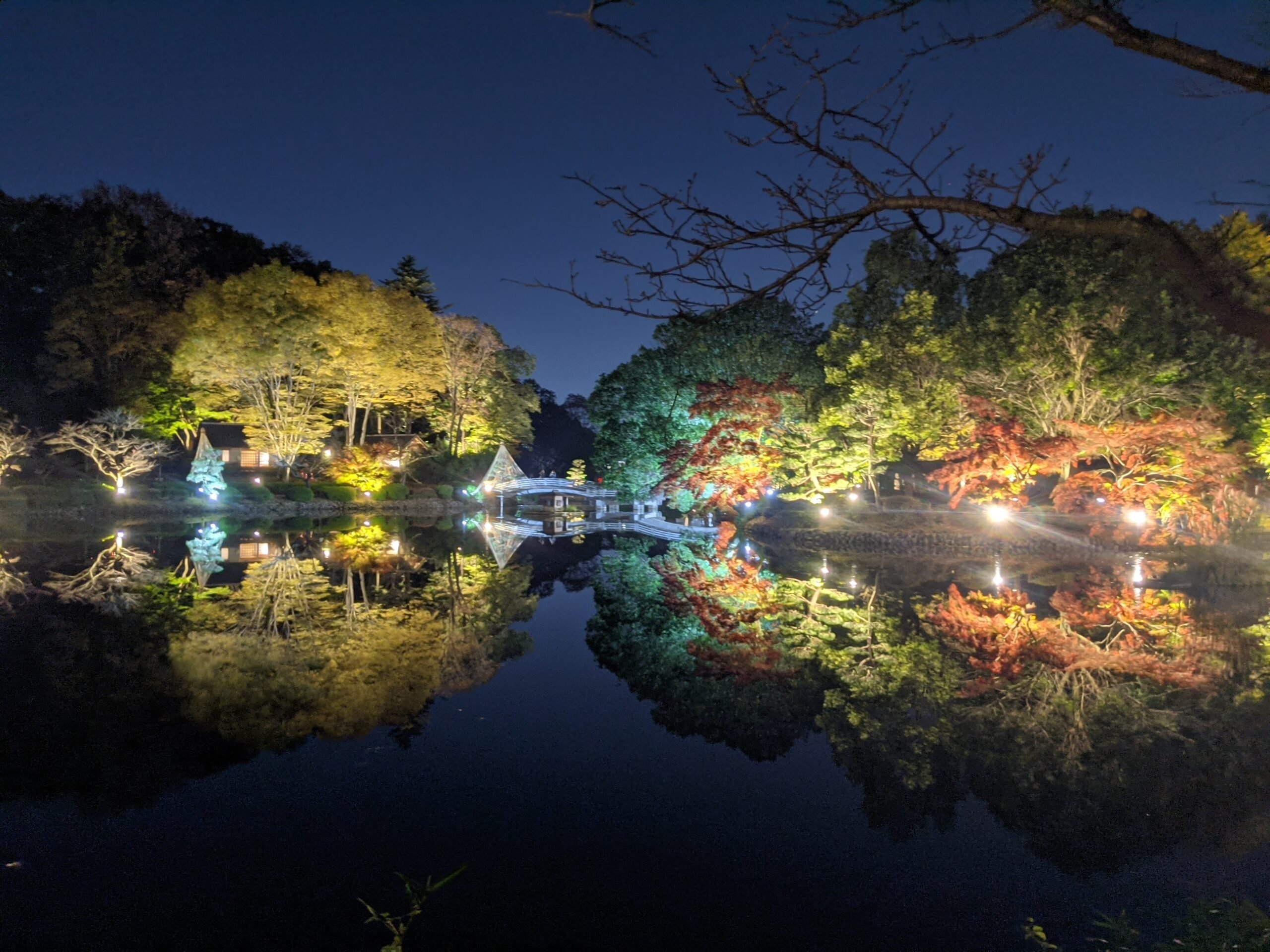 🏞️ 야쿠시이케 공원 (야쿠시이케 코엔) 이미지 13